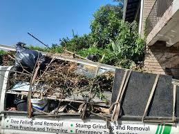 Best Property Management Cleanouts  in Beverly Hills, CA